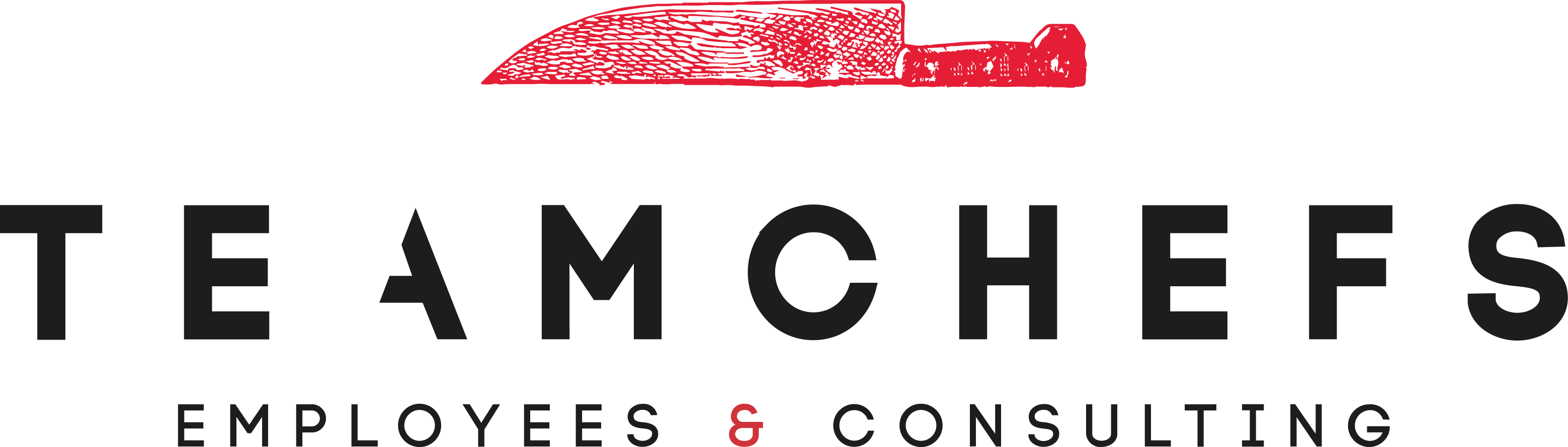 logo Teamchefs